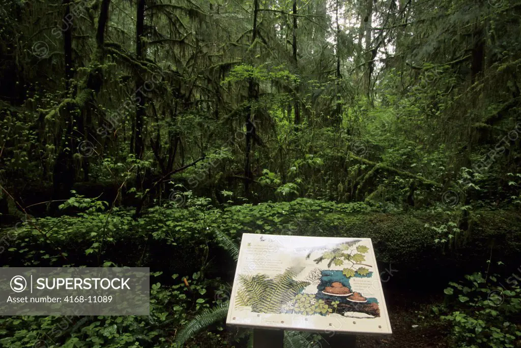 Usa, Washington, Olympic Np, Quinault Rainforest, Interpretive Sign