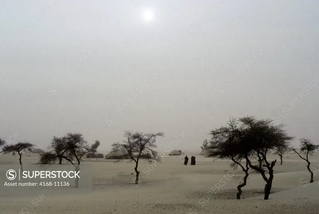 Mali, Near Timbuktu, Tuareg Camp In Harmattan Dust Storm, Tuareg Women