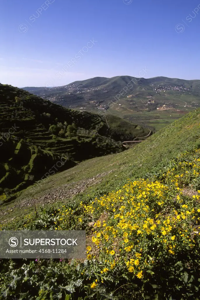 Syria, Near Homs, Central Syria, Landscape With Flowers And Villages