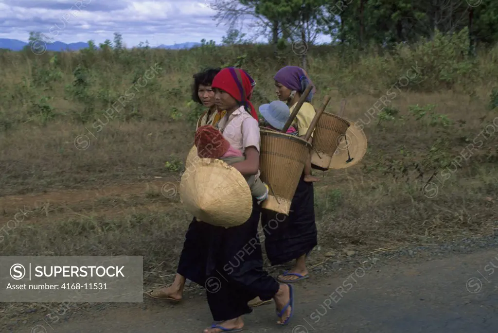 Vietnam, Central Highlands, Near Pleiku, Ede Hill-Tribe People, Women Coming From Working In Fields