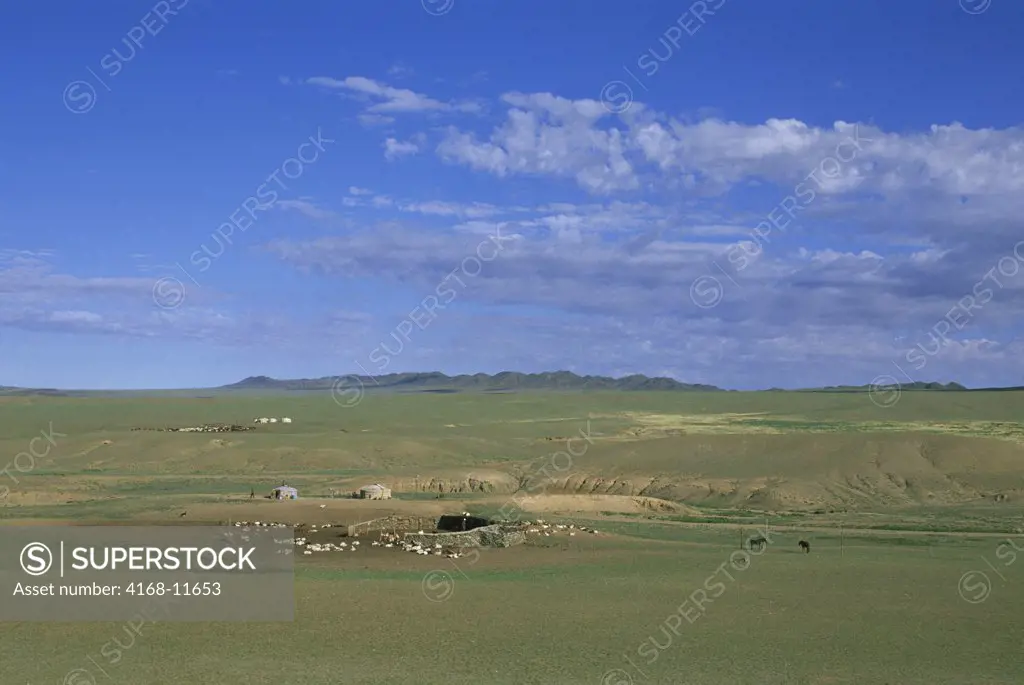 Mongolia, Gobi Desert, Near Dalanzadgad, Grasslands (Steppes), Gers (Yurts) With Sheep And Goats