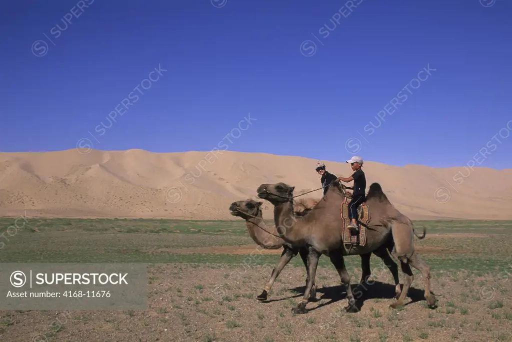 Mongolia,  Near Dalanzadgad, Gobi Desert At Khongoryn Els (Sand Dunes), Teenager And Local Boy On Bactrian Camel