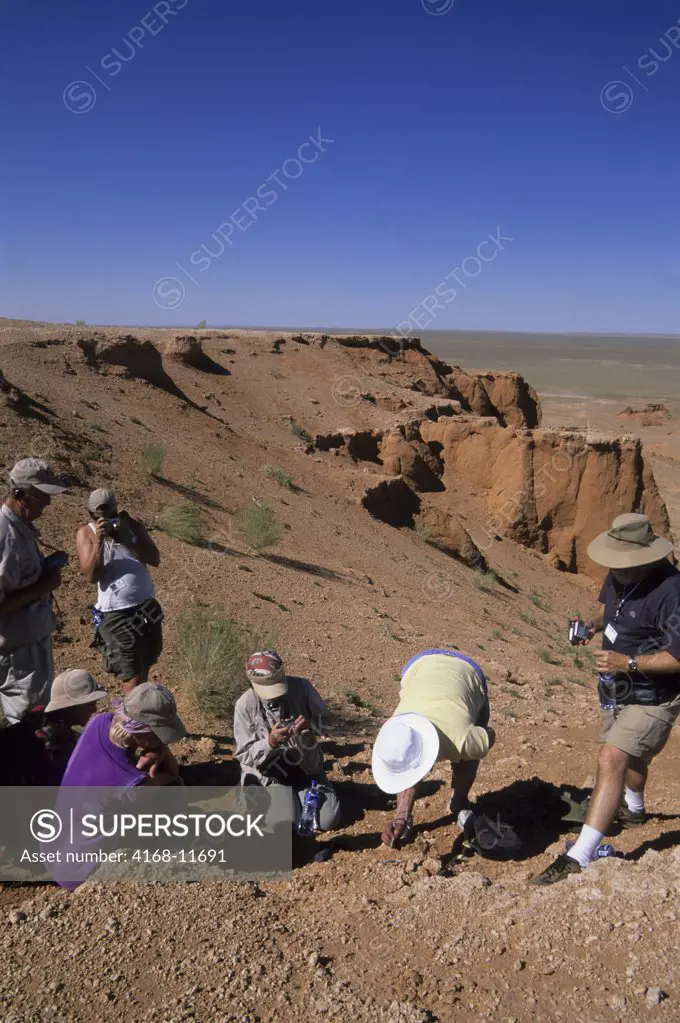 Mongolia,  Near Dalanzadgad, Gobi Desert, Bayanzag, Flaming Cliffs, Dr. Badamgarav Excavating Dinosaur Egg