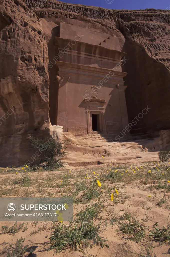 Saudi Arabia, Madain Saleh, Nabataeans Tombs (100 B.C. To 76 A.D.), Flowers