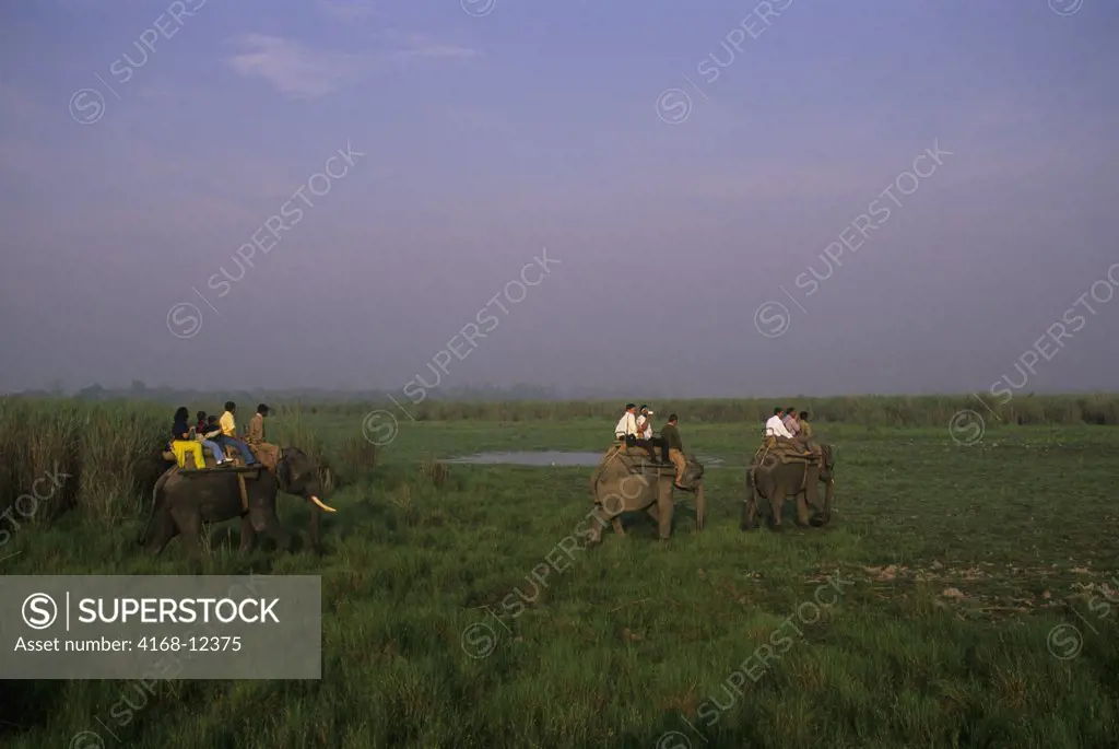 India, Assam , Kaziranga National Park, Tourists On Elephant