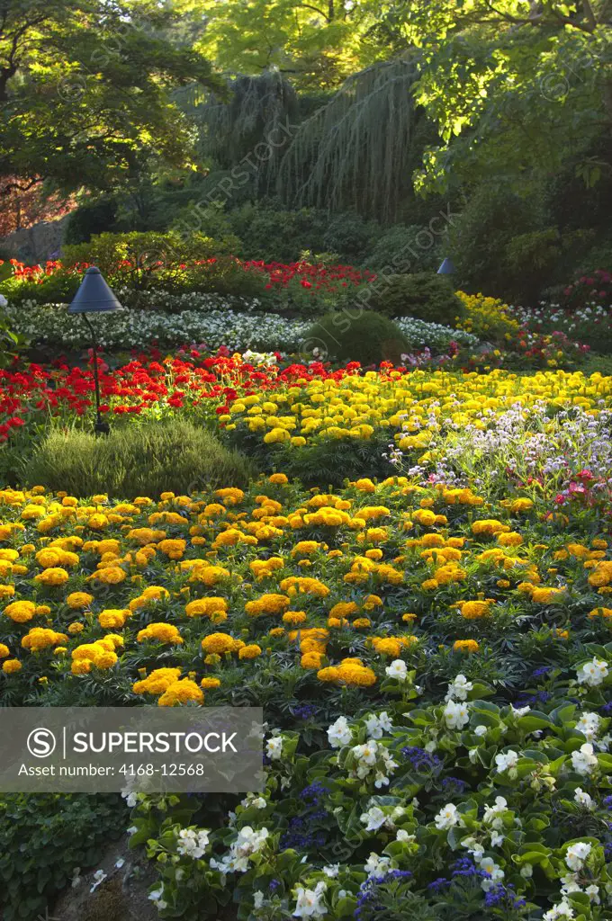 Canada, British Columbia, Vancouver Island Near Victoria, Butchart Gardens, Sunken Garden, Flowers