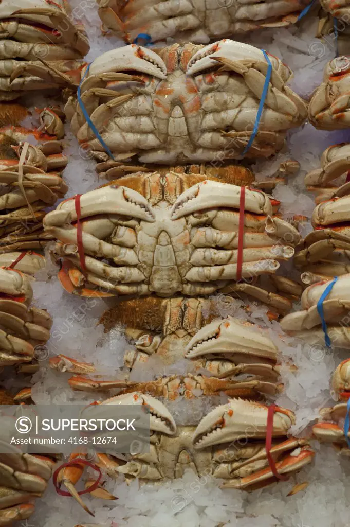 Usa, Washington State, Seattle, Pike Place Market, Dungeness Crab