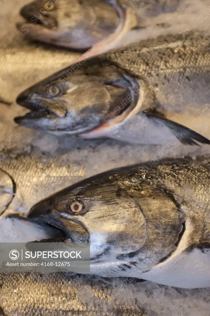 Usa, Washington State, Seattle, Pike Place Market, Fresh Salmon On Ice
