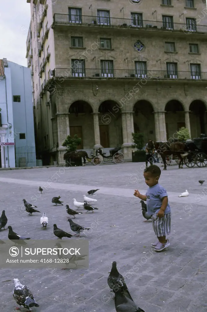 Cuba, Old Havana, Plaza San Francisco, Boy Chasing Pigeons