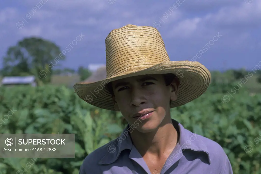 Cuba, Near Pinar Del Rio, Tobacco Farm, Teenage Farm Boy