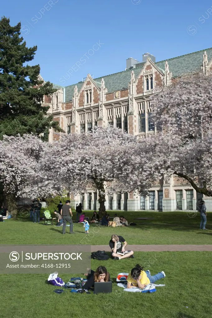 USA,  Washington State, Seattle, University Of Washington Campus, The Quad With Flowering Cherry Trees In Spring, Students On Lawn