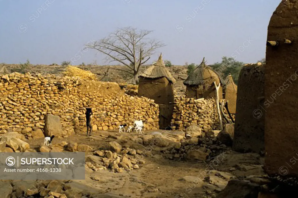 MALI, DOGON COUNTRY, TYPICAL DOGON VILLAGE WITH STRAW-HATTED GRANARIES