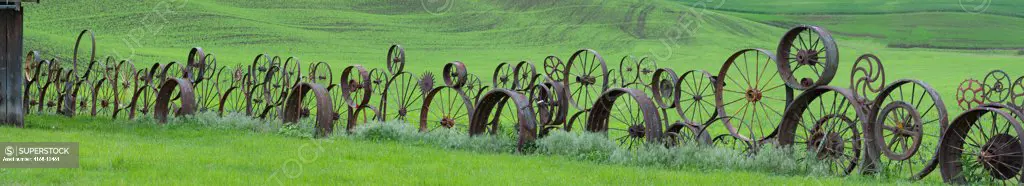 Panorama Image (Size 60 Inches X 11 Inches) Of Old Wagon Wheel Fence At The Dahmen Barn Near Uniontown In The Palouse, Eastern Washington State, Usa