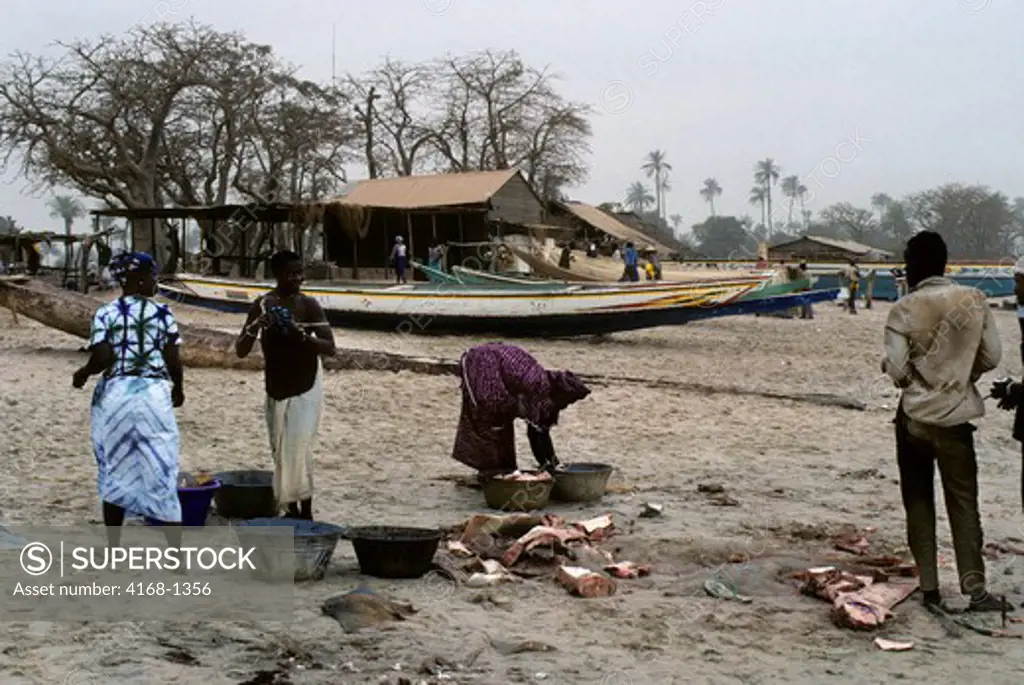 GAMBIA, FISHING VILLAGE NEAR BANJUL, BEACH SCENE WITH WOMAN CLEANING FISH