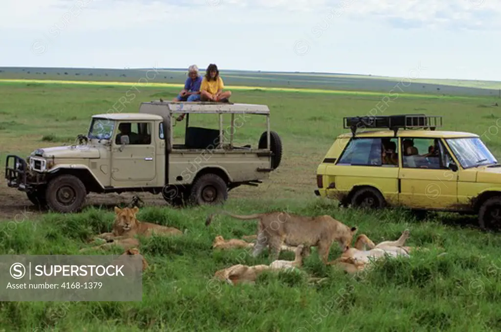 KENYA, MASAI MARA, TOURISTS WATCHING LION PRIDE