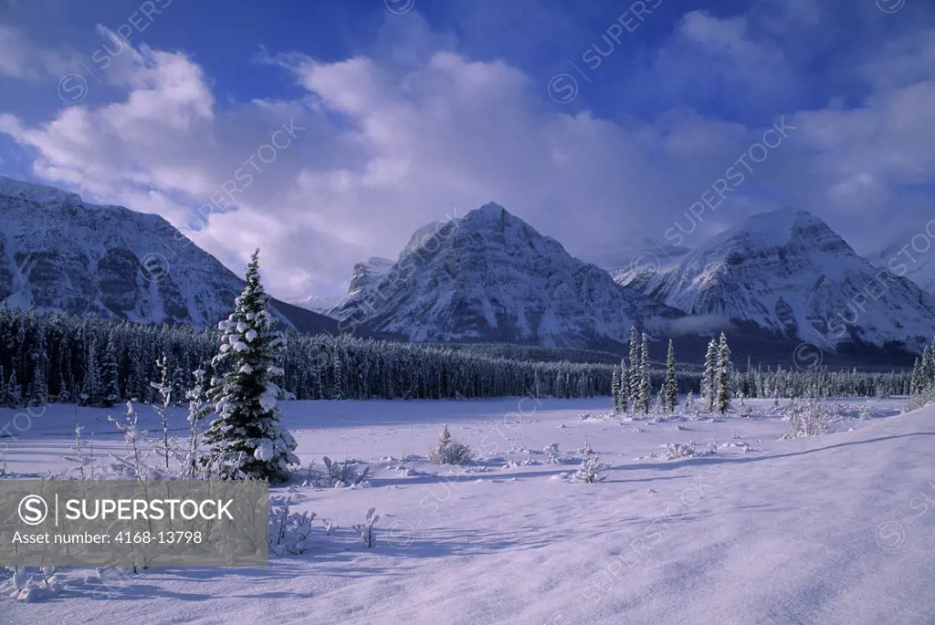 Canada, Canadian Rockies, Alberta, Icefields Parkway, View Of Athabasca River Valley