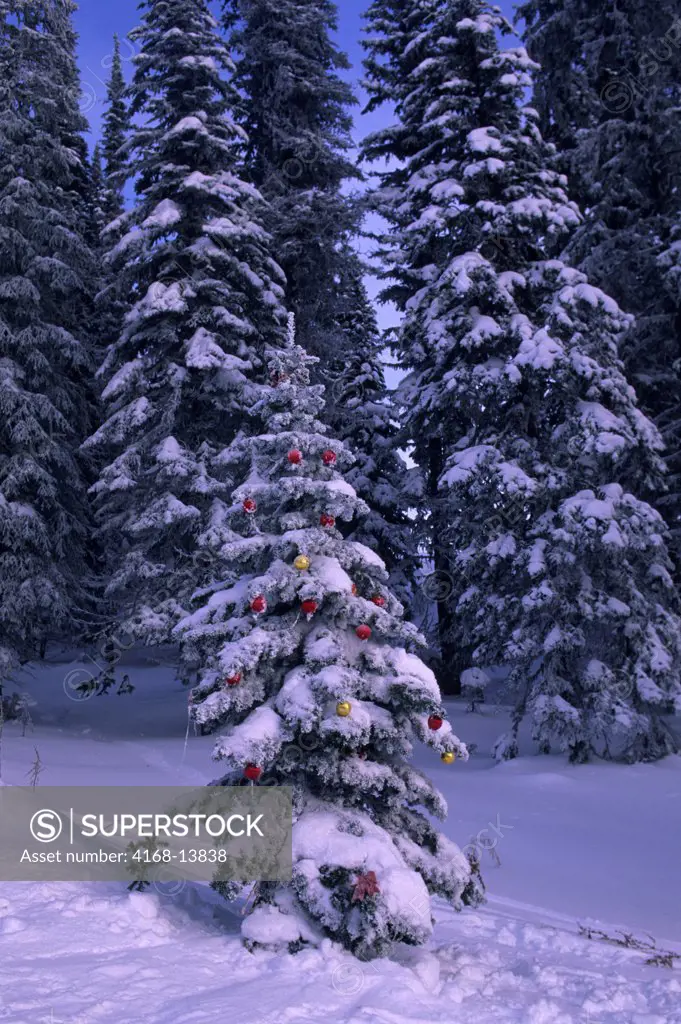 Canada, British Columbia, Sun Peaks, Ski Area, Tree Decorated With Christmas Ornaments