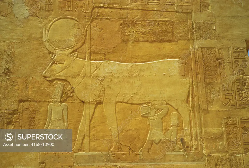 Egypt, Near Luxor, Deir El-Bahri, Temple Of Queen Hatshepsut, Ancient Egyptian Heiroglyphs