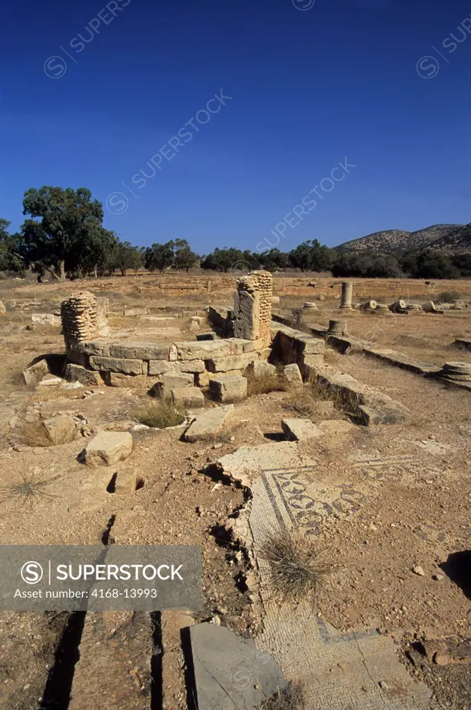 Libya, Near Benghazi, Ptolemais (Tolmeita), Roman Villa, Mosaic