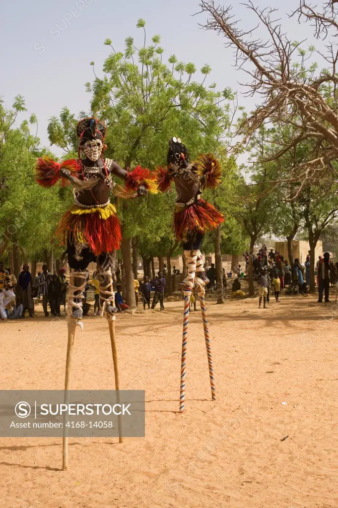 West Africa, Mali, Dogon Country, Sangha Village, Dogon Dances, Dancers On Stilts Resembling Women