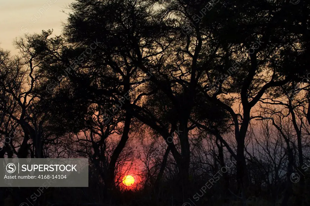 Botswana, Okavango Inland Delta, Duma Tau, Sunrise
