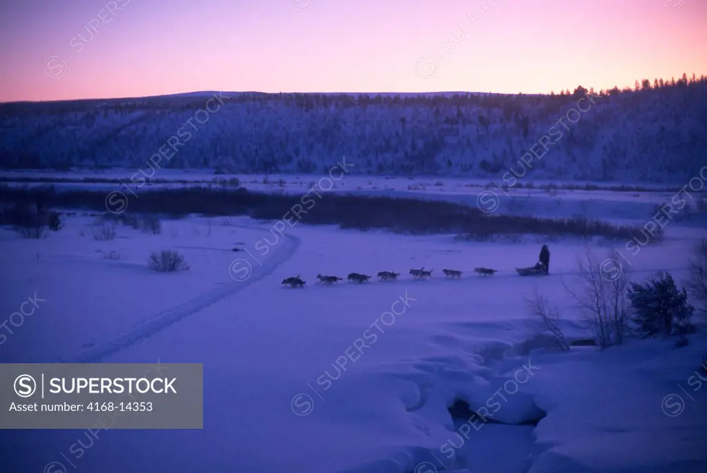 Norway, Finnmark, Near Karasjok, Mid-Winter, Dogsled Team, Around Noon