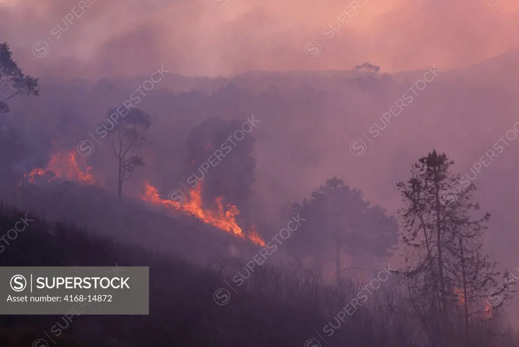 Madagascar, Near Mantasoa, Farmers Burning Land