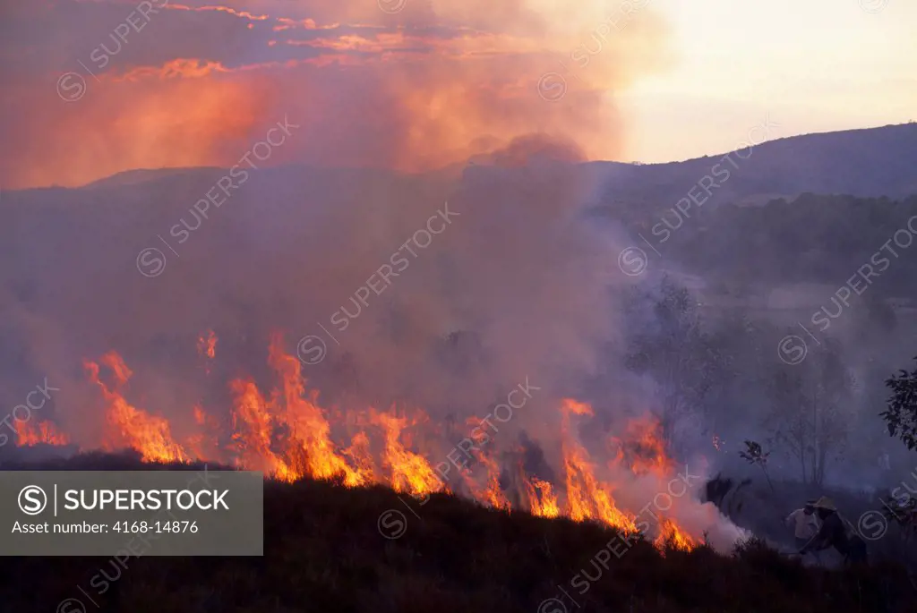 Madagascar, Near Mantasoa, Farmers Burning Land, Flames