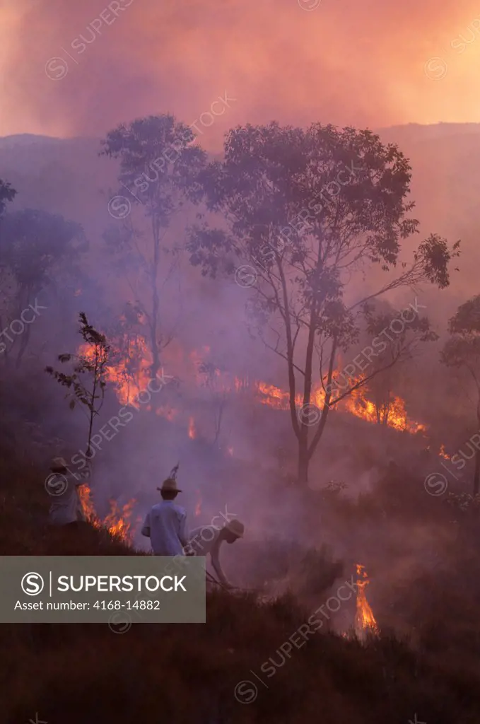 Madagascar, Near Mantasoa, Farmers Burning Land