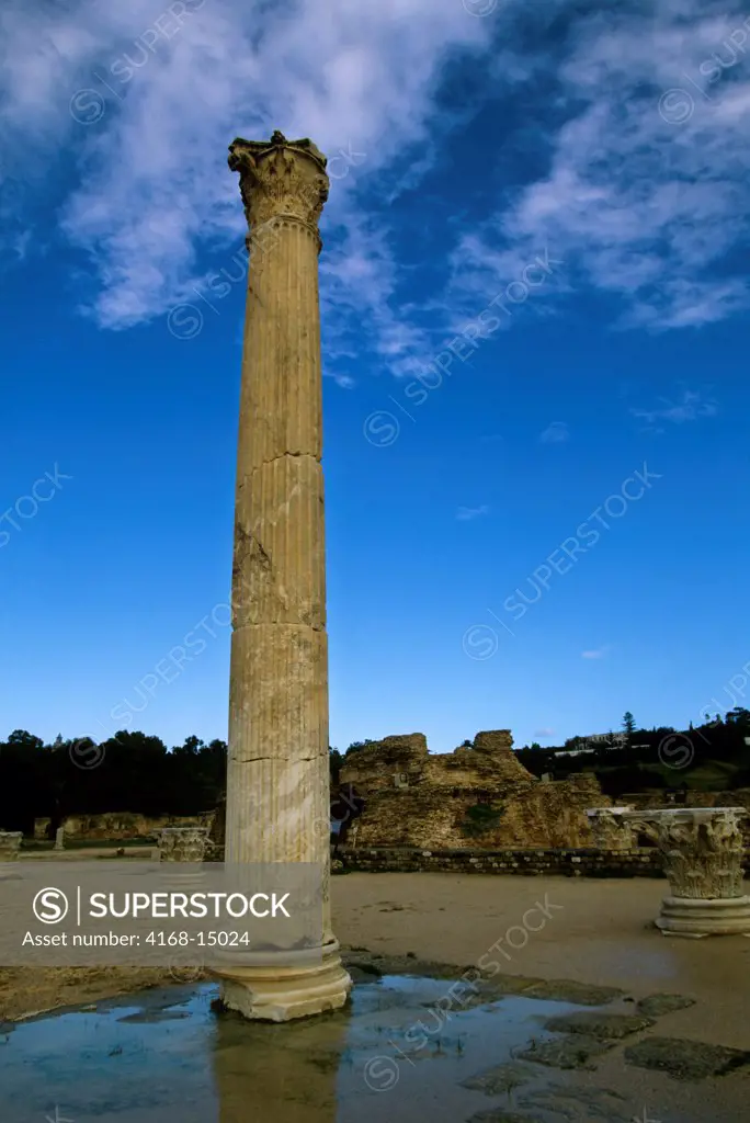 Tunisia, Tunis, Carthage, Remains Of Phoenician And Roman City, Antonine Baths, Column