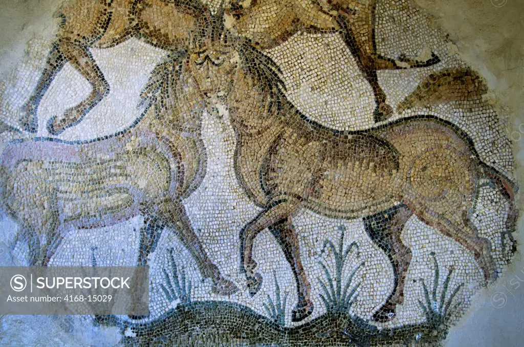 Tunisia, Tunis, Byrsa Hill Museum, Roman Mosaic With Horses