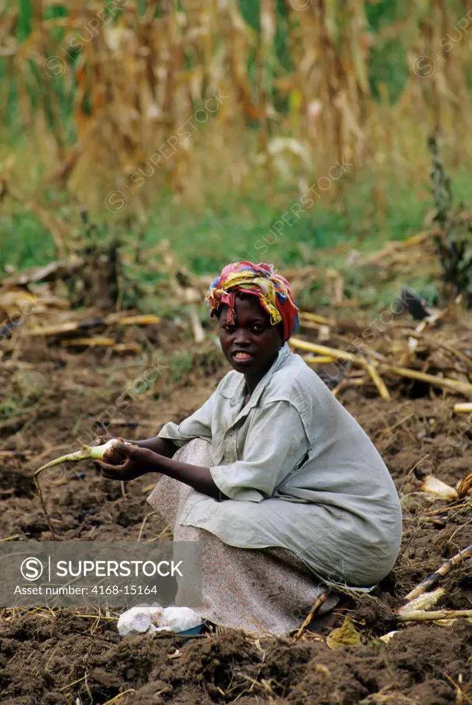Uganda, Near Fort Portal, Woman Working In Field