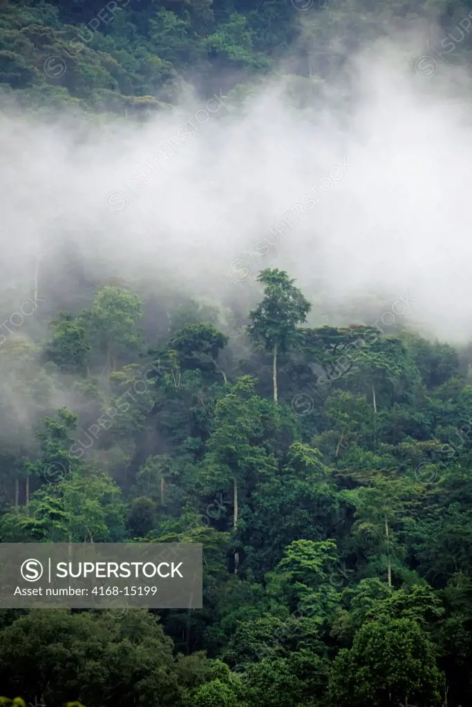 Uganda, Bwindi Impenetrable Forest, Rain Forest, Mist After Rainfall