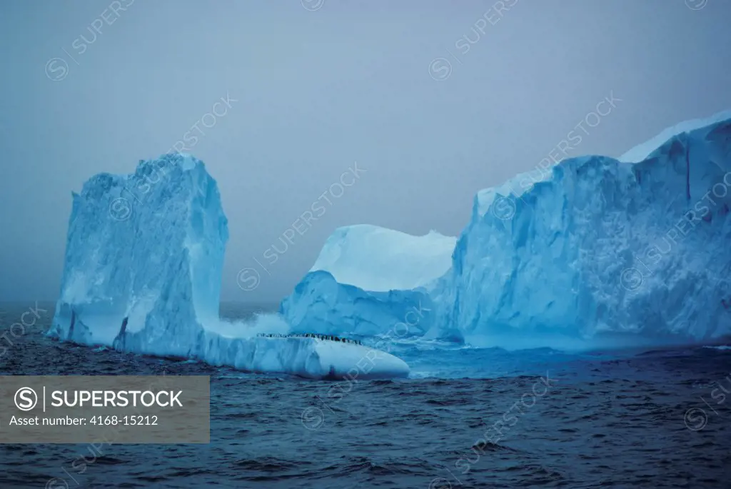 Antarctica, Adelie Penguins Resting On Iceberg
