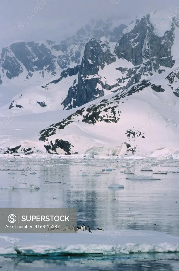 Antarctic Peninsula Area, Mountains, Adelie Penguins On Icefloe