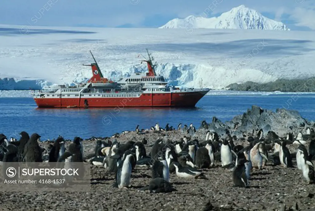 ANTARCTICA, EXPEDITION CRUISE SHIP 'MS WORLD DISCOVERER' NEXT TO ADELIE PENGUIN COLONY