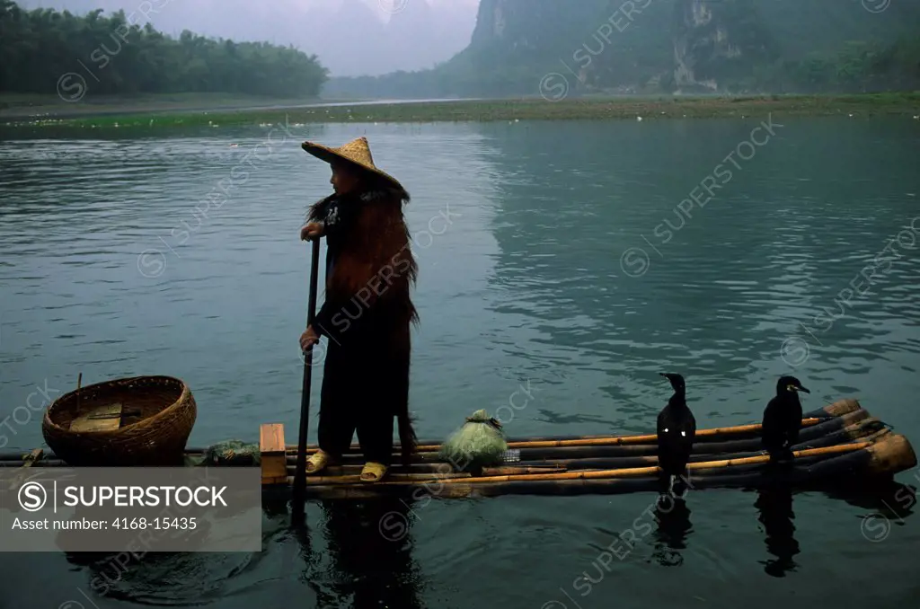 China, Guangxi Province, Near Guilin, Xing Ping, Li River, Rain, Fisherman On Bamboo Raft, Cormorants