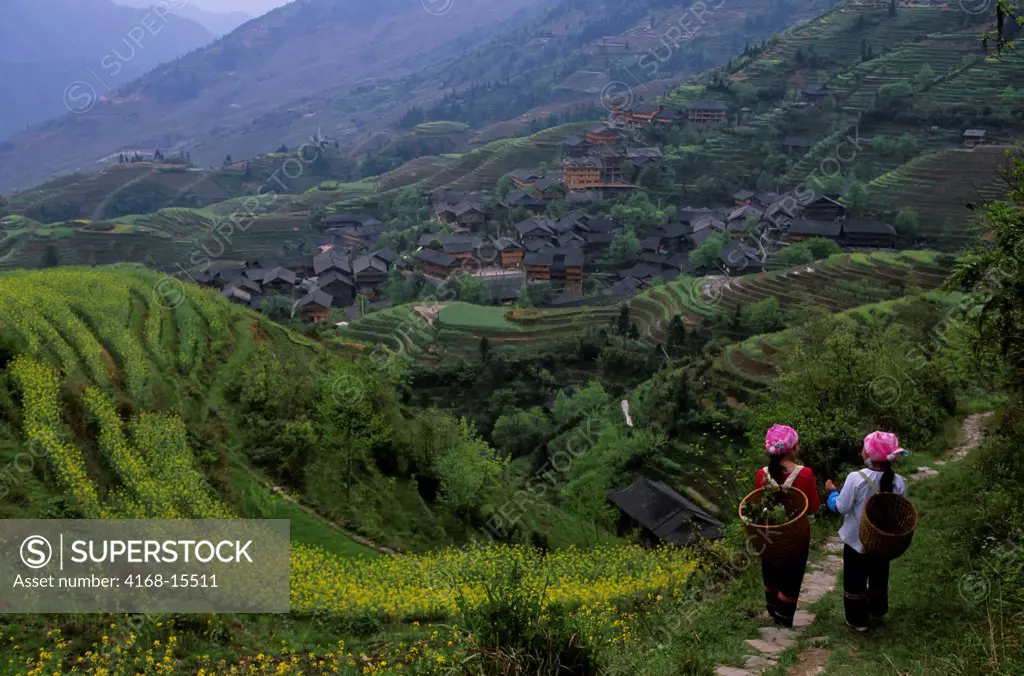 China, Guangxi Province, Near Guilin, Longji Area, Terraced Fields, Zhuang Women On Trail