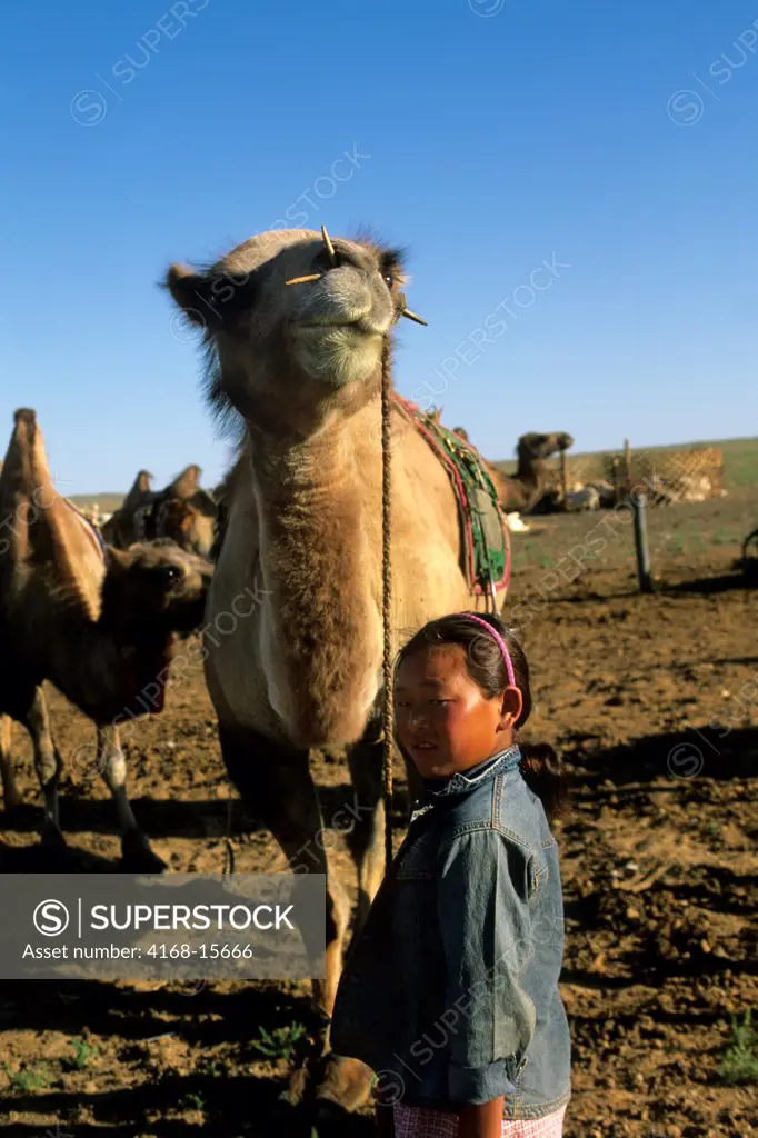 Mongolia,  Near Dalanzadgad, Gobi Desert At Khongoryn Els (Sand Dunes), Girl With Bactrian Camel