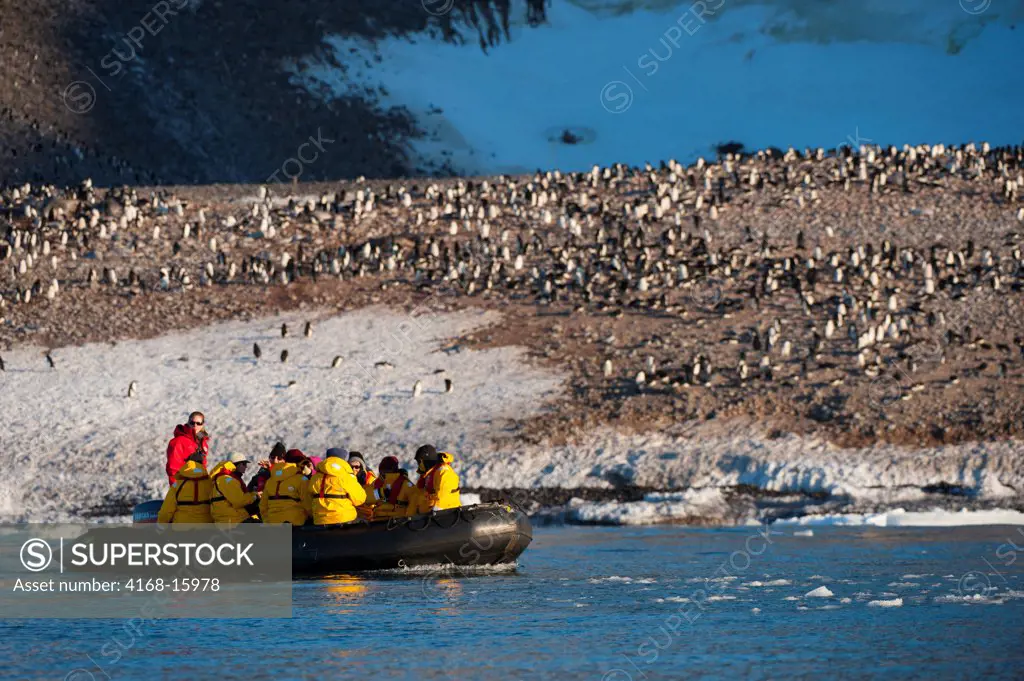Antarctica, Antarctic Peninsula, Paulet Island, Tourists In Zodiac Exploring Adelie Penguin Colony