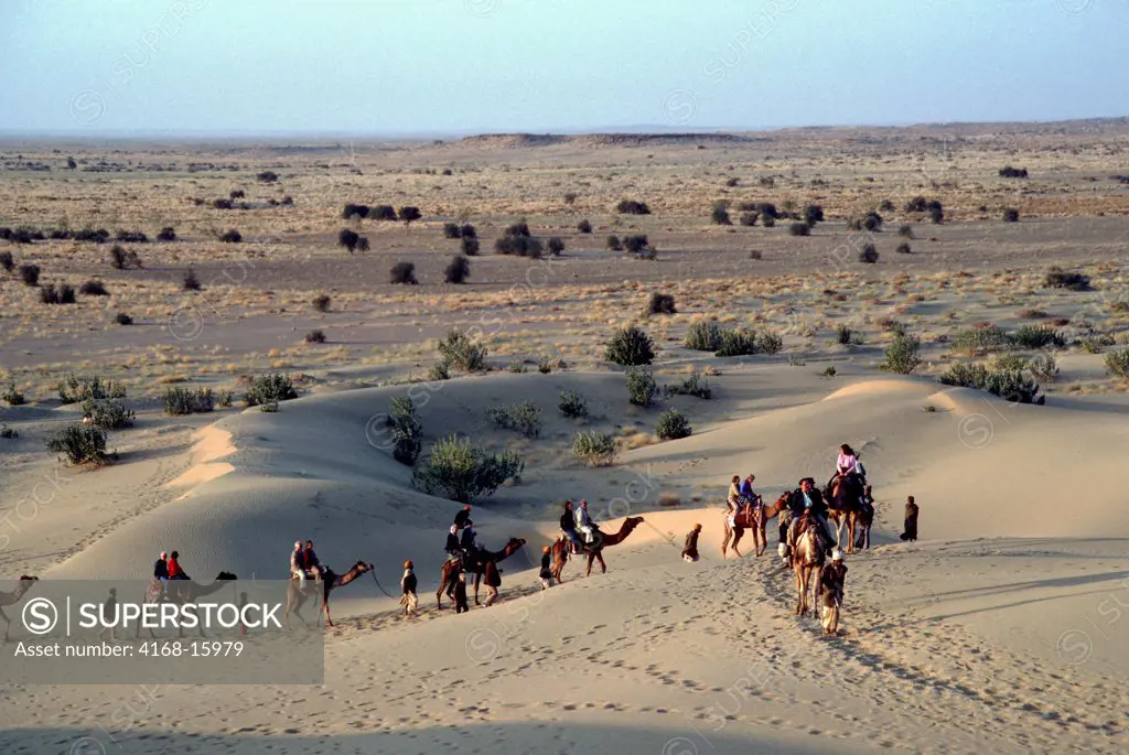 India, Rajasthan, Great Indian (Thar) Desert, Near Jaisalmer, Sand Dunes In Evening Light, Tourists On Camels
