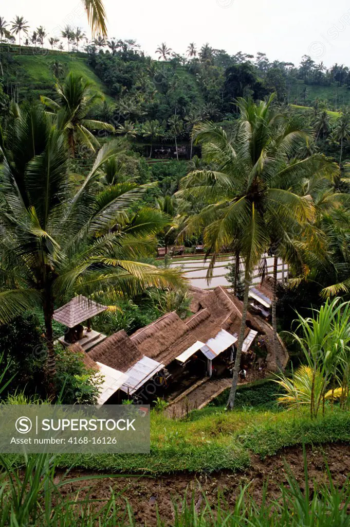 Indonesia, Bali, Gunung Kawi, Souvenir Stands And Rice Terraces