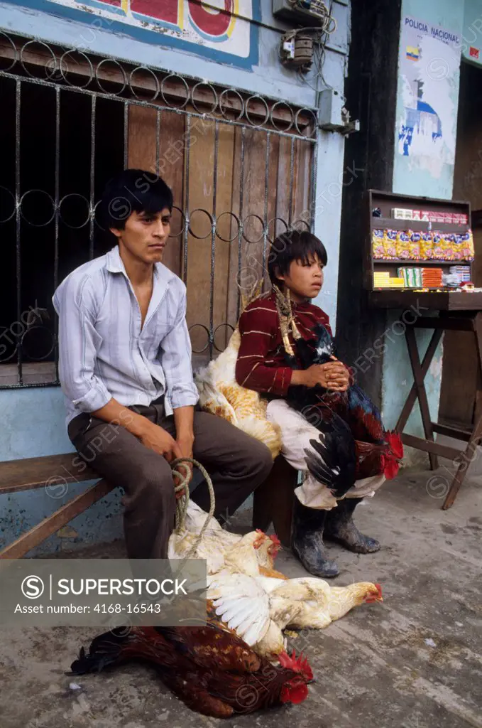 Ecuador, Amazon Basin, Coca, Street Scene With Father & Son Selling Chickens