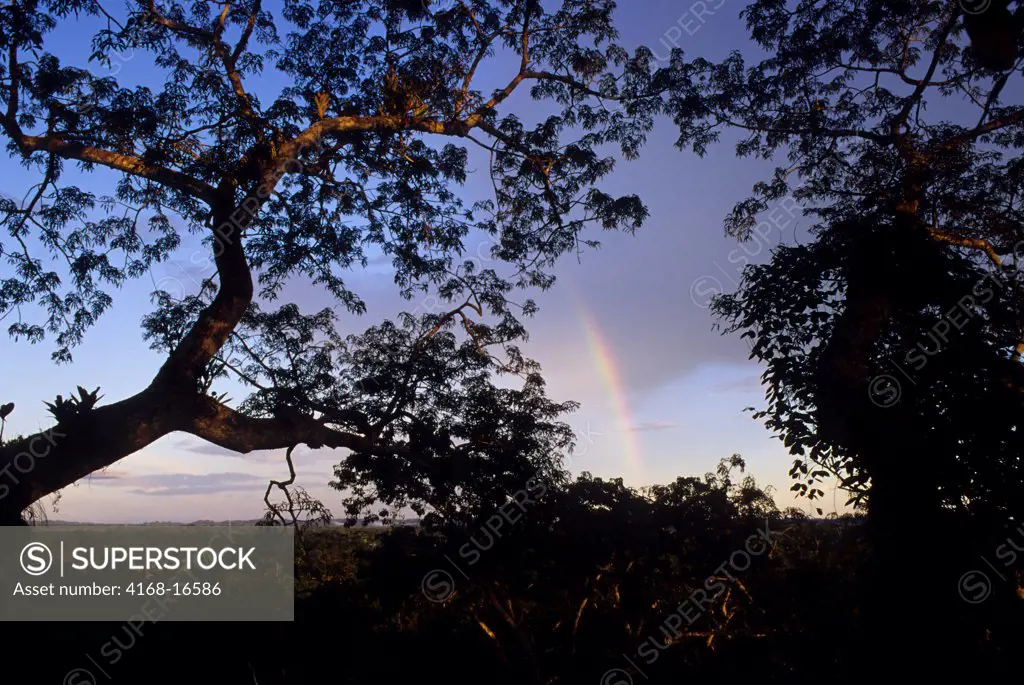 Ecuador, Amazon Basin, Rio Napo, Rainforest, Upper Canopy, Rainbow