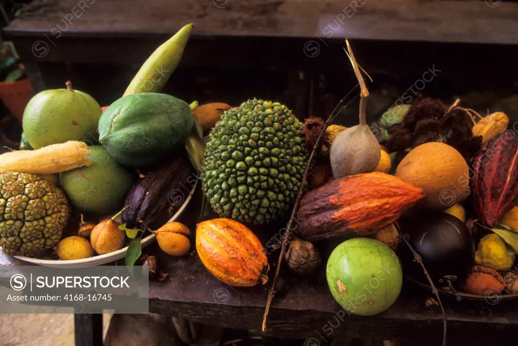 Grenada, Bay Garden, Tropical Fruits And Spices, Cocoa, Nutmeg, Mango, Etc.