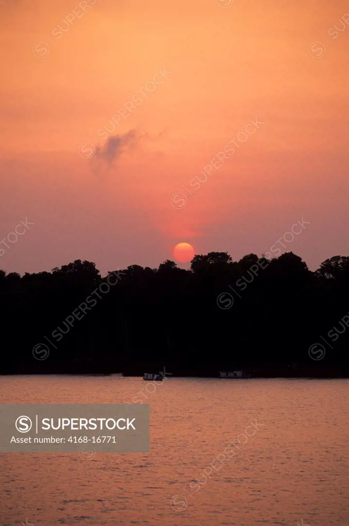 View Of The Tropical Rainforest In The Amazon River Delta Near Belem At Sunrise, Brazil
