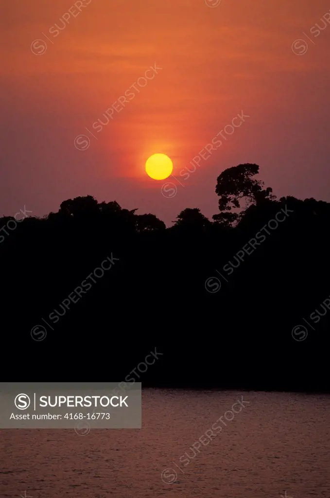 View Of The Tropical Rainforest In The Amazon River Delta Near Belem At Sunrise, Brazil