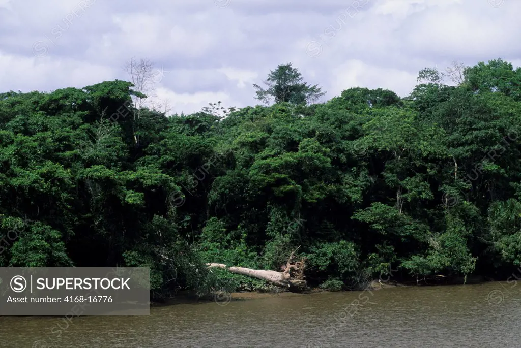 View Of The Tropical Rainforest In The Amazon River Delta Near Belem, Brazil