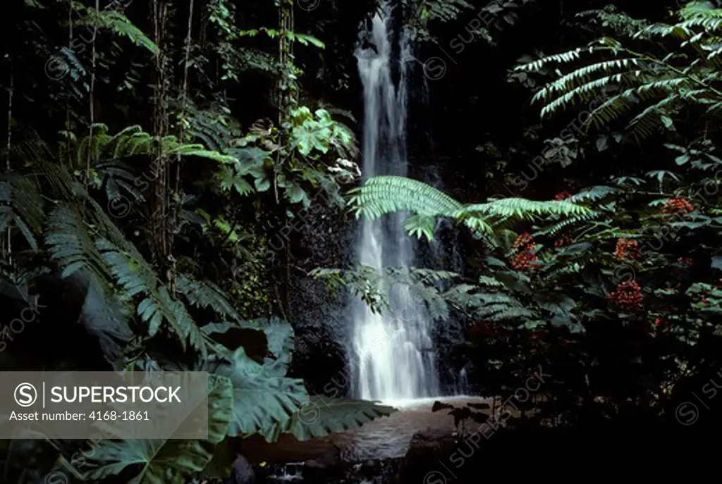 TAHITI, WATERFALL IN RAIN FOREST