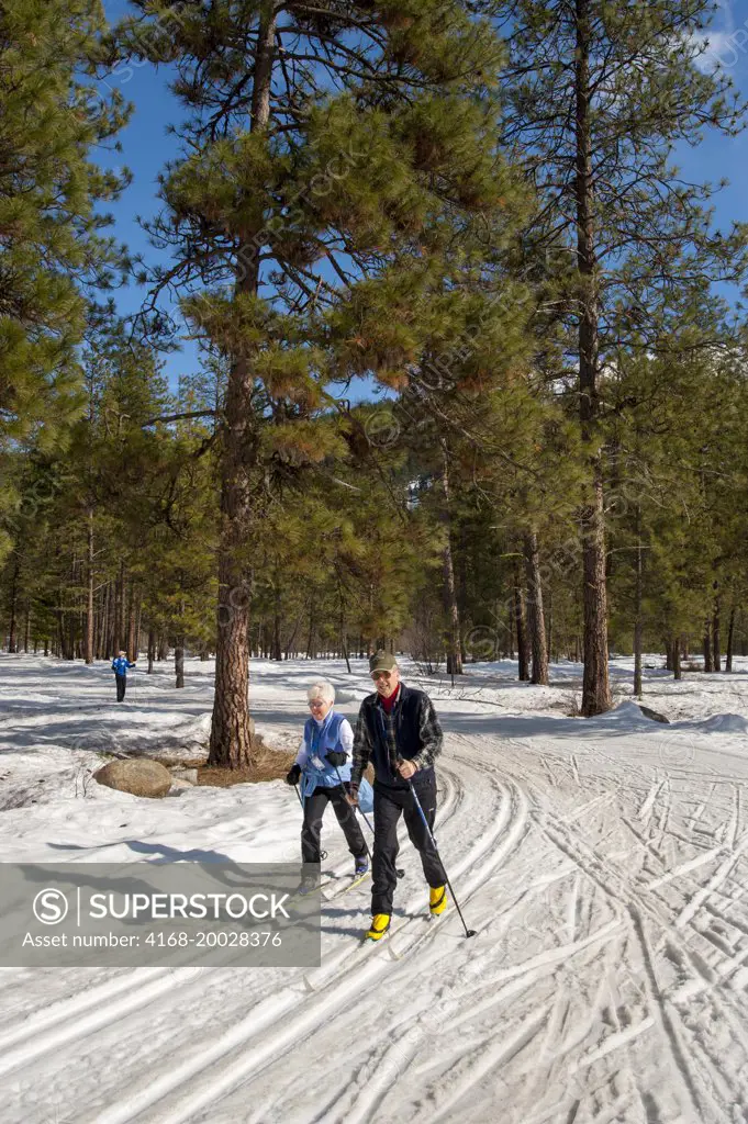Seniors cross country skiing the Icicle River trail in Leavenworth, Eastern Washington State, USA.